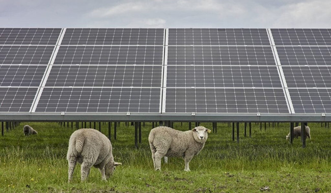 Le Vietnam publie la dernière politique en matière d’énergie solaire !